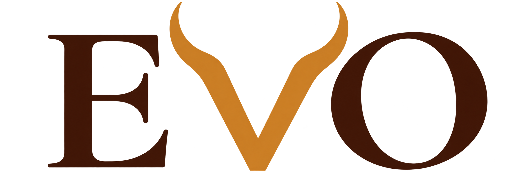 Evo Leather